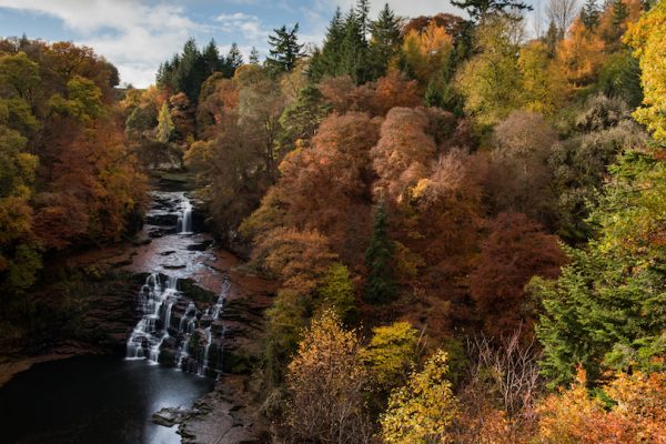 أجمل 6 حدائق في اسكتلندا