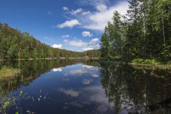 أجمل 6 حدائق في فنلندا